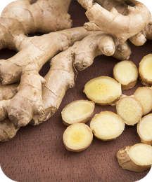 Shea Butter Extract